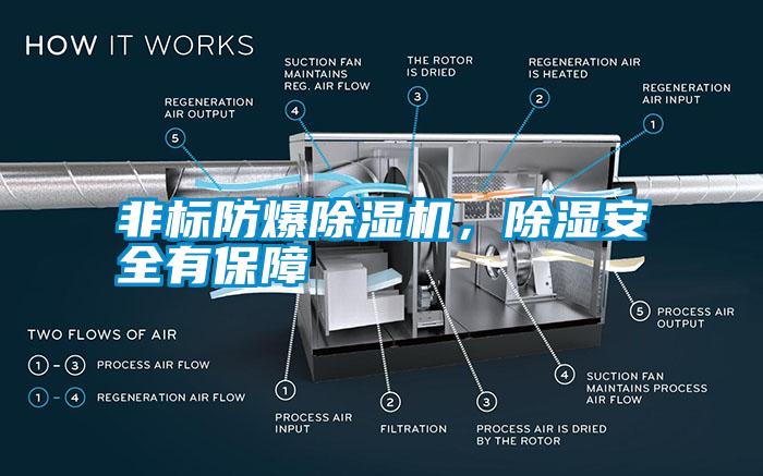 非標(biāo)防爆除濕機(jī)，除濕安全有保障