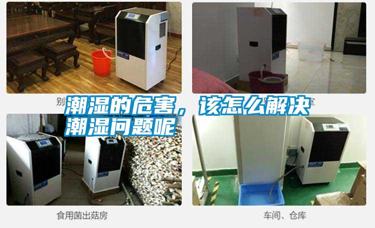潮濕的危害，該怎么解決潮濕問(wèn)題呢