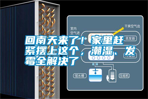 回南天來了！家里趕緊擺上這個，潮濕、發(fā)霉全解決了