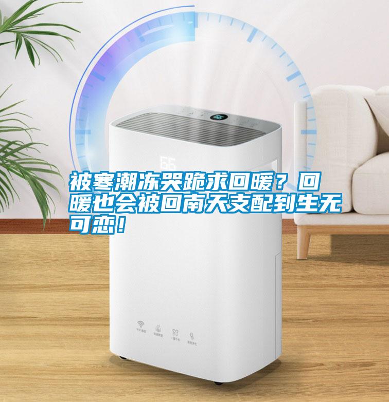 被寒潮凍哭跪求回暖？回暖也會被回南天支配到生無可戀！