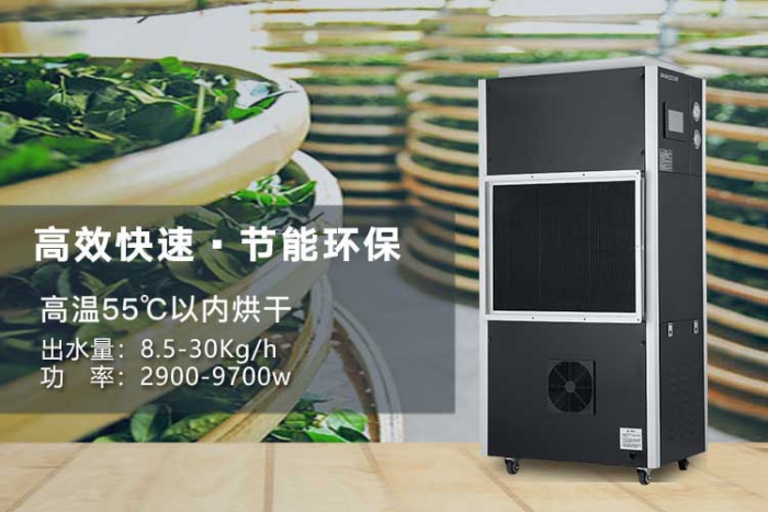 濕氣重的人，是不是更容易出汗？