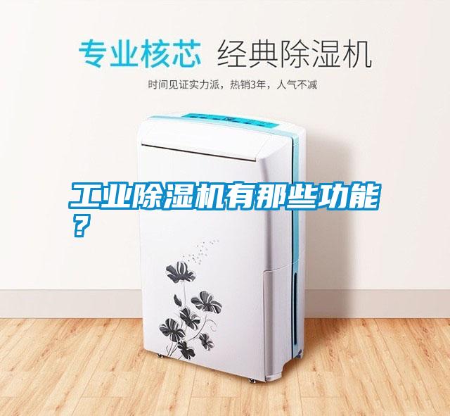 工業(yè)除濕機(jī)有那些功能？