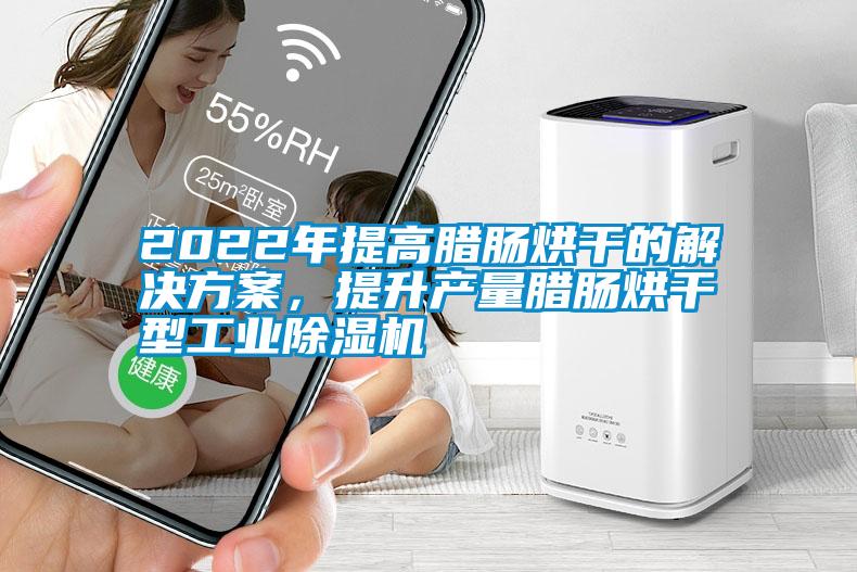 2022年提高臘腸烘干的解決方案，提升產(chǎn)量臘腸烘干型工業(yè)除濕機
