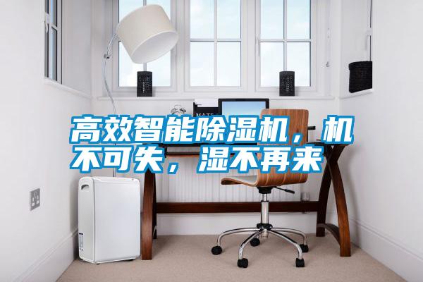 高效智能除濕機(jī)，機(jī)不可失，濕不再來