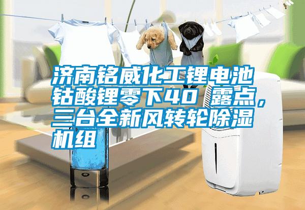 濟南銘威化工鋰電池鈷酸鋰零下40℃露點，三臺全新風轉(zhuǎn)輪除濕機組