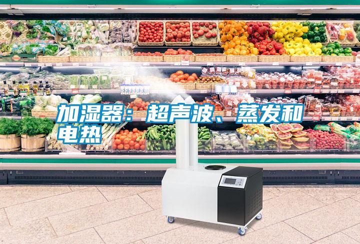 加濕器：超聲波、蒸發(fā)和電熱