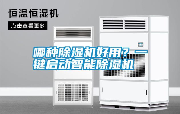 哪種除濕機好用？一鍵啟動智能除濕機
