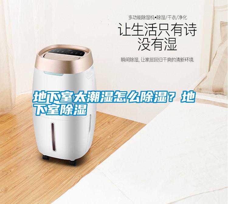 地下室太潮濕怎么除濕？地下室除濕