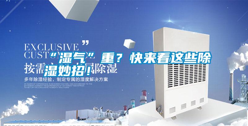 “濕氣”重？快來看這些除濕妙招！