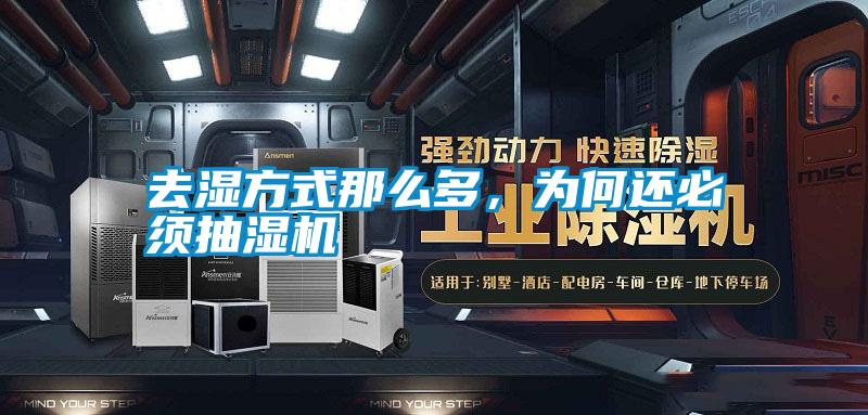 去濕方式那么多，為何還必須抽濕機(jī)