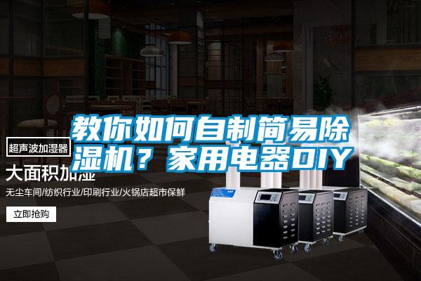 教你如何自制簡易除濕機(jī)？家用電器DIY