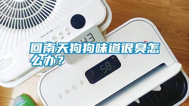 回南天狗狗味道很臭怎么辦？