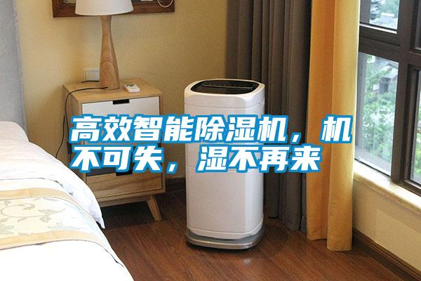 高效智能除濕機(jī)，機(jī)不可失，濕不再來(lái)