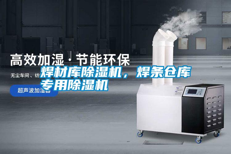 焊材庫(kù)除濕機(jī)，焊條倉(cāng)庫(kù)專用除濕機(jī)