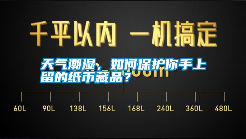 天氣潮濕，如何保護(hù)你手上留的紙幣藏品？