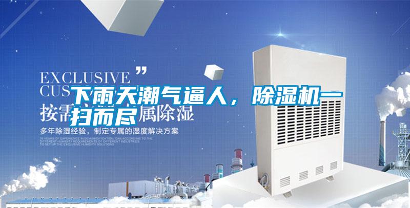 下雨天潮氣逼人，除濕機(jī)一掃而盡