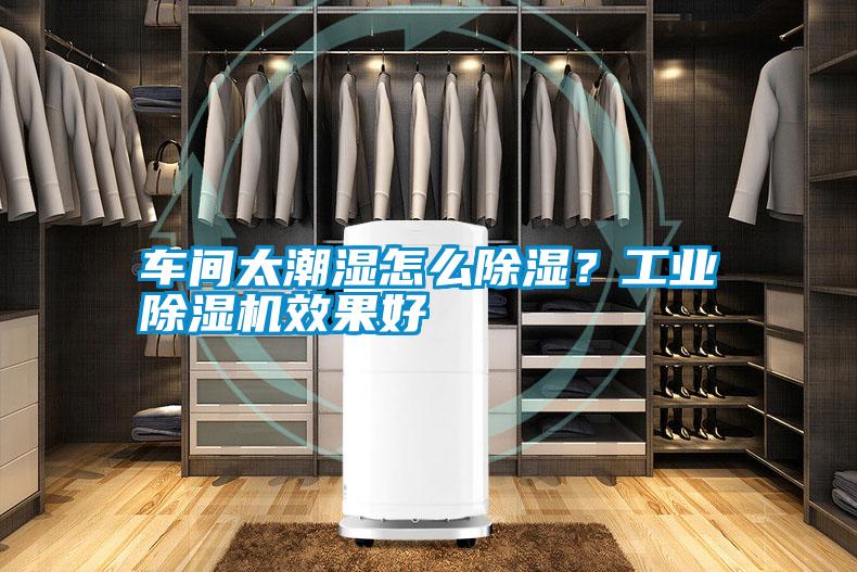 車間太潮濕怎么除濕？工業(yè)除濕機效果好