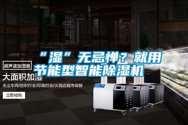 “濕”無忌憚？就用節(jié)能型智能除濕機