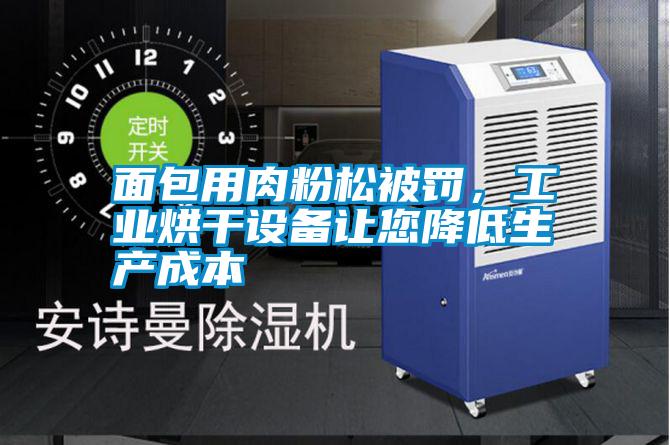 面包用肉粉松被罰，工業(yè)烘干設(shè)備讓您降低生產(chǎn)成本