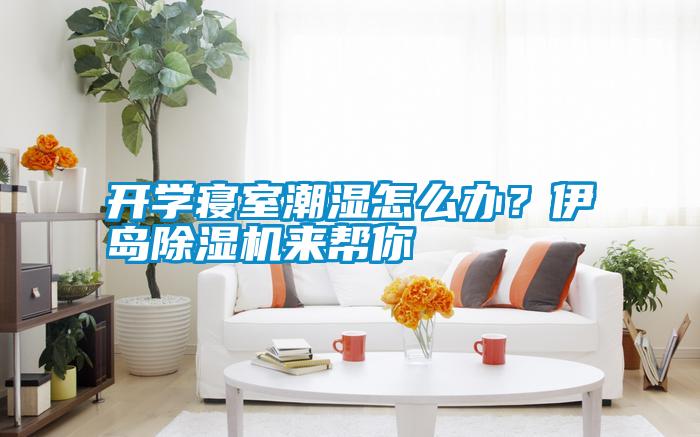 開學寢室潮濕怎么辦？伊島除濕機來幫你