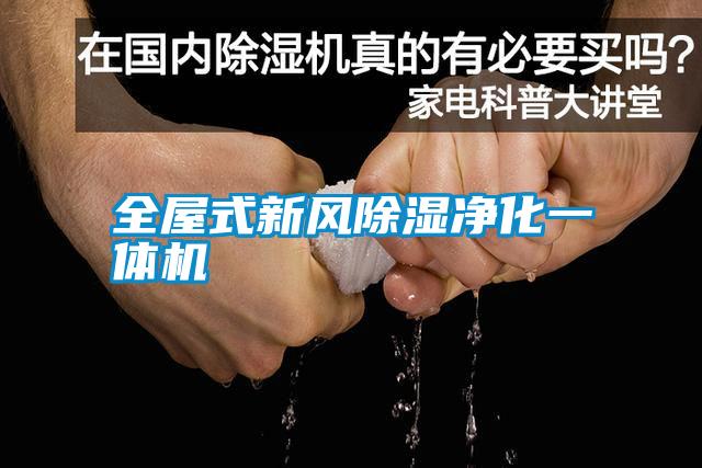 全屋式新風(fēng)除濕凈化一體機