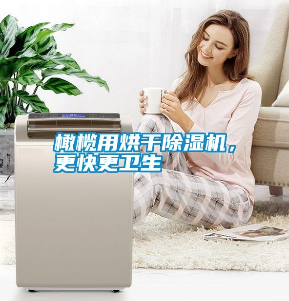橄欖用烘干除濕機(jī)，更快更衛(wèi)生