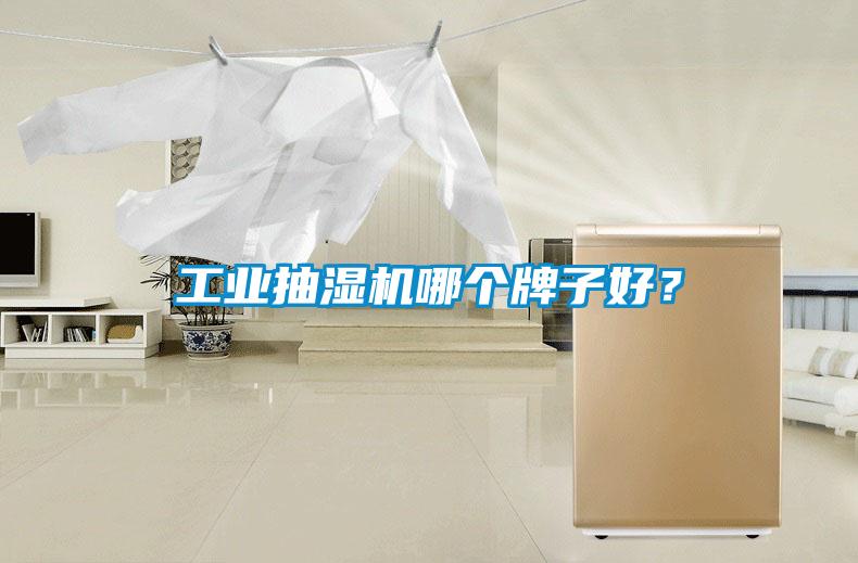 工業(yè)抽濕機哪個牌子好？