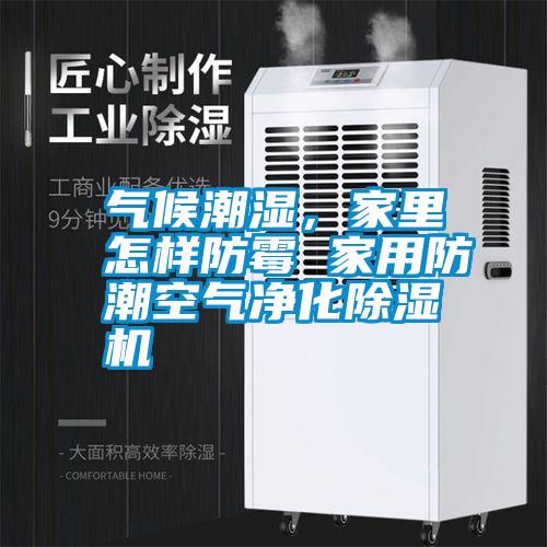 氣候潮濕，家里怎樣防霉 家用防潮空氣凈化除濕機(jī)
