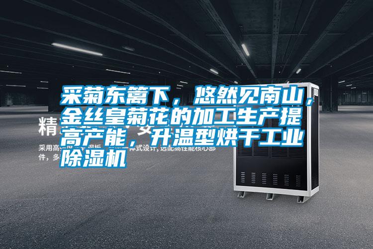 采菊東籬下，悠然見南山，金絲皇菊花的加工生產(chǎn)提高產(chǎn)能，升溫型烘干工業(yè)除濕機(jī)