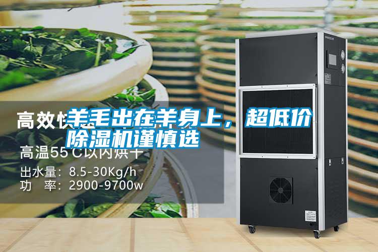 羊毛出在羊身上，超低價除濕機謹(jǐn)慎選