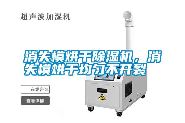 消失模烘干除濕機(jī)，消失模烘干均勻不開裂