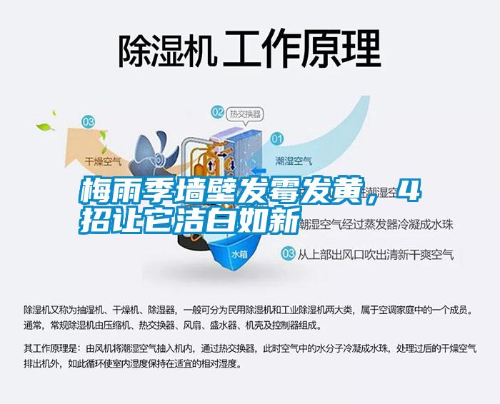 梅雨季墻壁發(fā)霉發(fā)黃，4招讓它潔白如新
