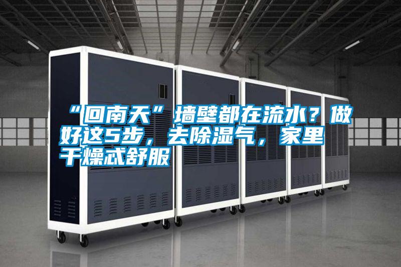 “回南天”墻壁都在流水？做好這5步，去除濕氣，家里干燥忒舒服