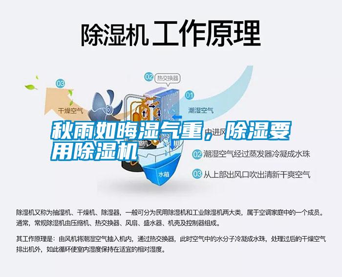 秋雨如晦濕氣重，除濕要用除濕機