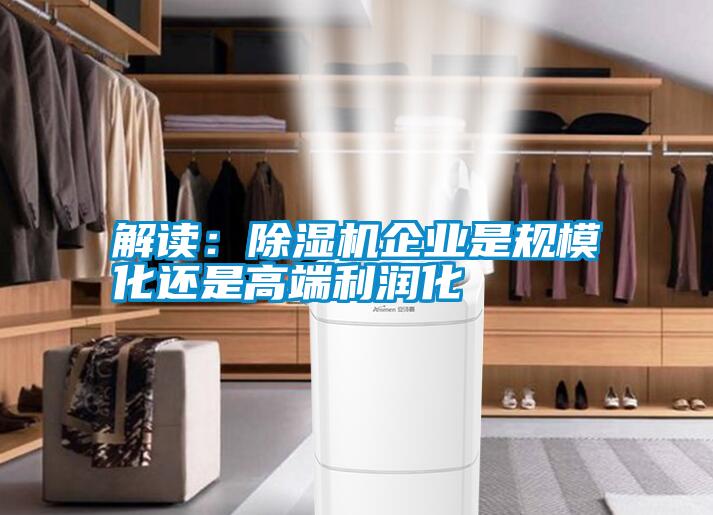 解讀：除濕機(jī)企業(yè)是規(guī)?；€是高端利潤(rùn)化