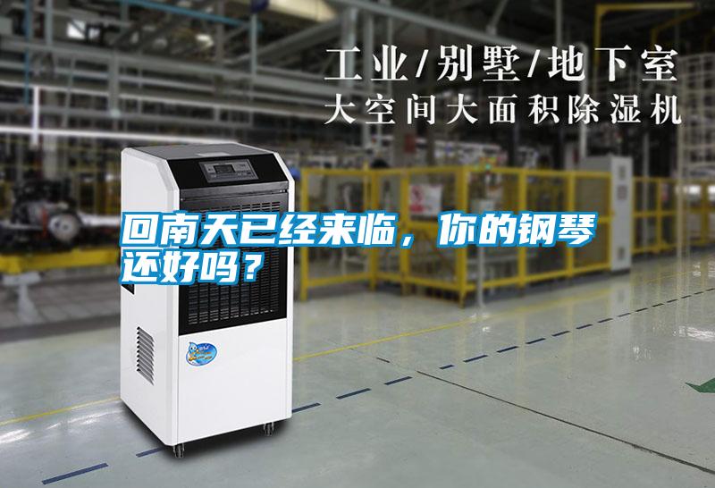 回南天已經(jīng)來(lái)臨，你的鋼琴還好嗎？