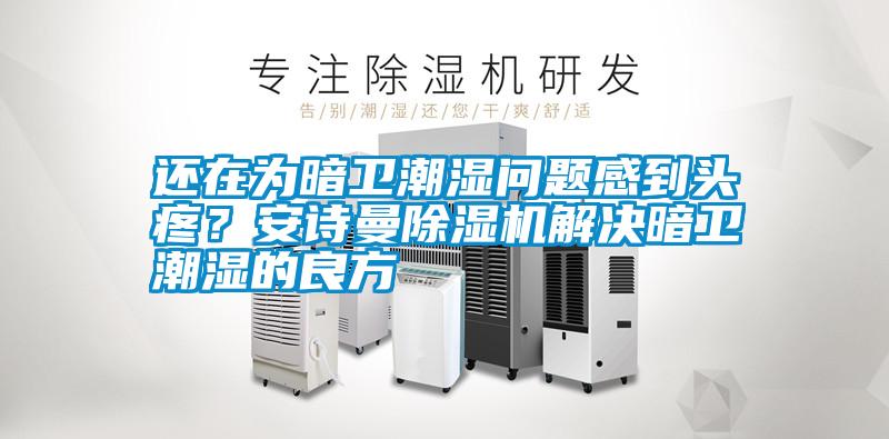 還在為暗衛(wèi)潮濕問題感到頭疼？安詩曼除濕機解決暗衛(wèi)潮濕的良方