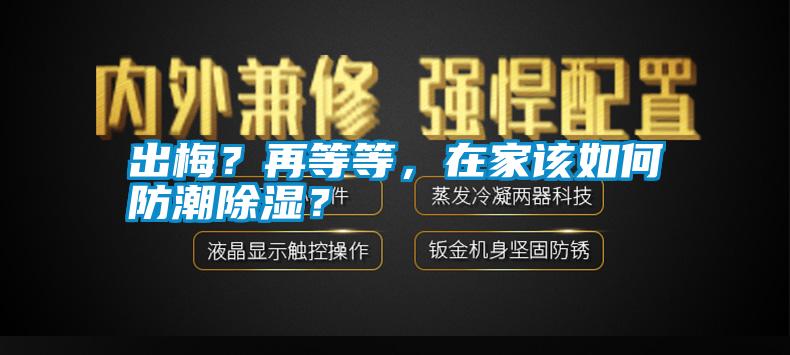 出梅？再等等，在家該如何防潮除濕？