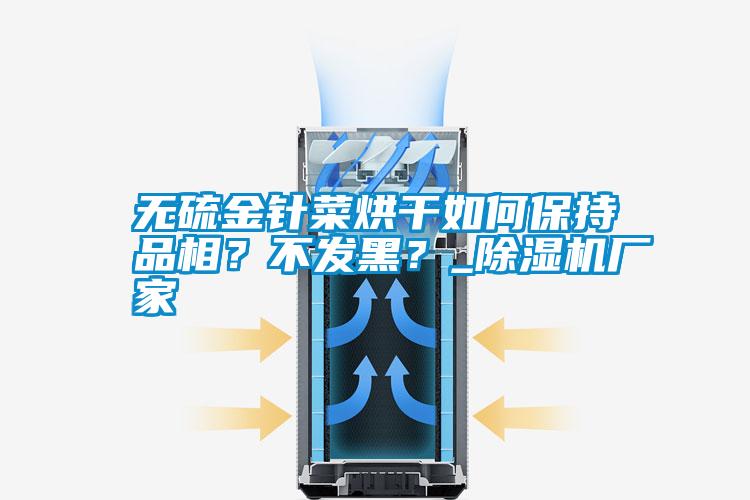 無硫金針菜烘干如何保持品相？不發(fā)黑？_除濕機(jī)廠家
