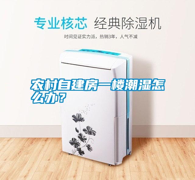 農(nóng)村自建房一樓潮濕怎么辦？
