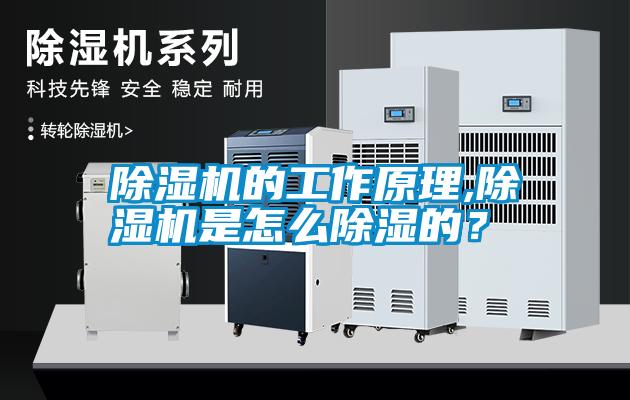 除濕機的工作原理,除濕機是怎么除濕的？