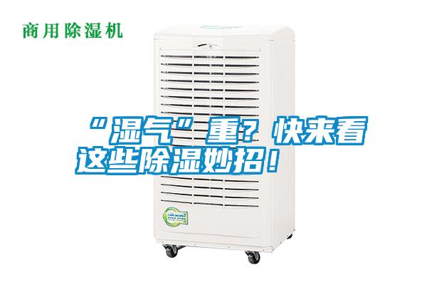 “濕氣”重？快來看這些除濕妙招！