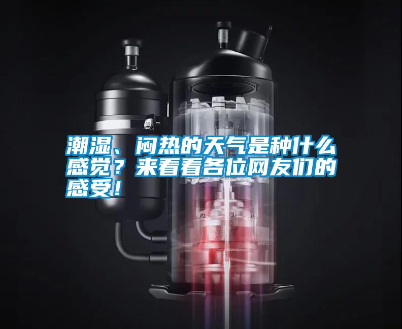 潮濕、悶熱的天氣是種什么感覺？來看看各位網(wǎng)友們的感受！