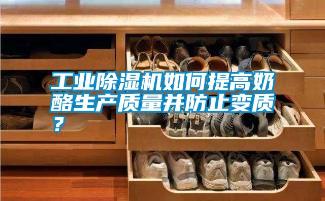 工業(yè)除濕機如何提高奶酪生產(chǎn)質(zhì)量并防止變質(zhì)？