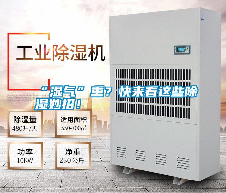 “濕氣”重？快來看這些除濕妙招！