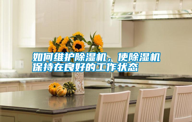 如何維護除濕機，使除濕機保持在良好的工作狀態(tài)
