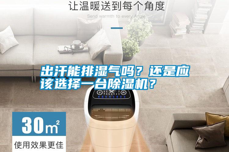 出汗能排濕氣嗎？還是應(yīng)該選擇一臺(tái)除濕機(jī)？