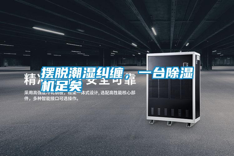 擺脫潮濕糾纏，一臺(tái)除濕機(jī)足矣