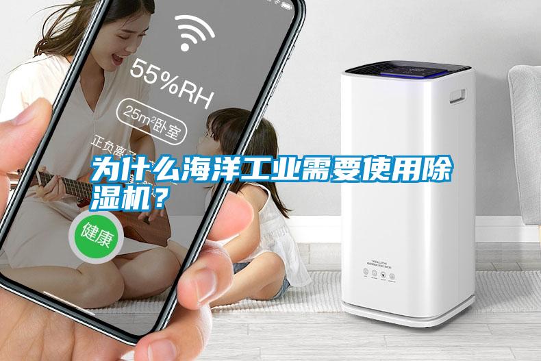 為什么海洋工業(yè)需要使用除濕機(jī)？