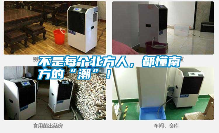 不是每個(gè)北方人，都懂南方的“潮”！